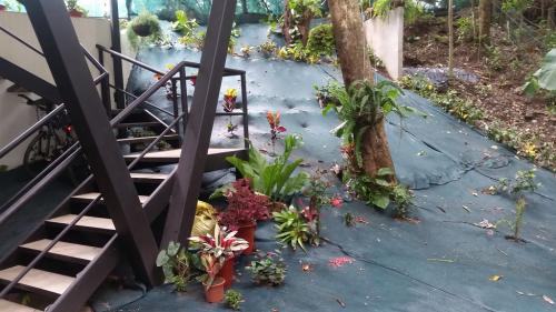 Apartamento Paseo Del Mar