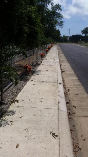 Obras Comunes Llanuras del Palmar