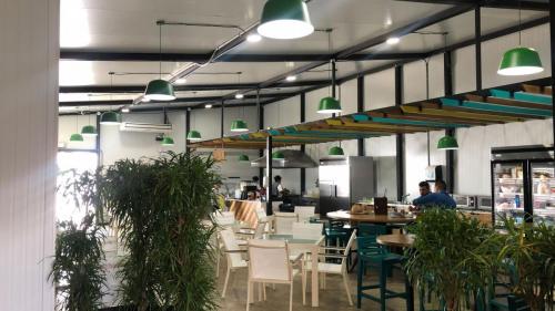 Foto-11-6-19-11-38-20-a.-m.