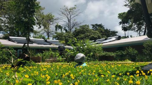 Foto 11-6-19 5 10 47 p. m. (3)