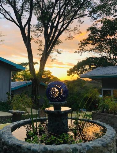 Foto 11-6-19 5 10 47 p. m. (4)