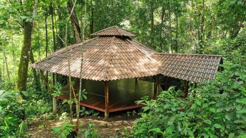 portada (1) (1) (1) (1)